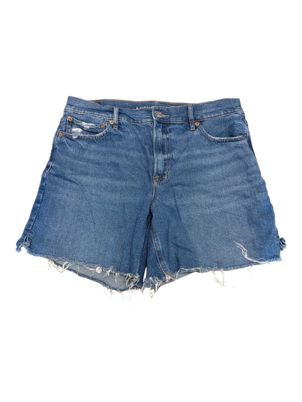 American Eagle Relaxed Short Distressed Raw Hem Denim Shorts Size 10